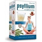 HERBEX PSYLLIUM 16×4.5 g, fiber drink powder HERBEX PSYLLIUM 16×4.5 g, fiber drink powder