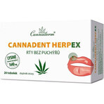 Cannaderm Cannadent Herpex 1×28 tbl, complemento alimenticio Cannaderm Cannadent Herpex 1×28 tbl, complemento alimenticio
