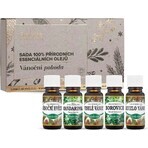 Saloos Christmas well-being-set of 100% natural essential oils 5x10 ml, set of essential oils Saloos Christmas well-being-set of 100% natural essential oils 5x10 ml, set of essential oils