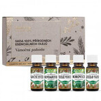 Saloos Christmas well-being-set of 100% natural essential oils 5x10 ml, set of essential oils Saloos Christmas well-being-set of 100% natural essential oils 5x10 ml, set of essential oils