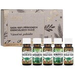 Saloos Christmas well-being-set of 100% natural essential oils 5x10 ml, set of essential oils Saloos Christmas well-being-set of 100% natural essential oils 5x10 ml, set of essential oils