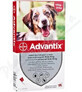Advantix Spot-on f&#252;r Hunde von 10 bis 25 kg 1&#215;2,5 ml, Pipette