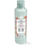 Yves Rocher Pc Smooth Exfoliating Exfoliating Milk 1×200 ml, Reinigungsmilch Yves Rocher Pc Smooth Exfoliating Exfoliating Milk 1×200 ml, Reinigungsmilch