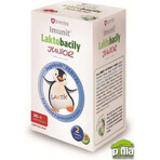 SWISS Lactobacilli JUNIOR Immunit + vitamin D3 30+6 tbl. 1×36 tbl, vitamins SWISS Lactobacilli JUNIOR Immunit + vitamin D3 30+6 tbl. 1×36 tbl, vitamins