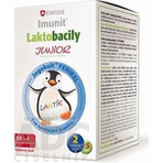 SWISS Lactobacilli JUNIOR Immunit + vitamin D3 30+6 tbl. 1×36 tbl, vitamins SWISS Lactobacilli JUNIOR Immunit + vitamin D3 30+6 tbl. 1×36 tbl, vitamins