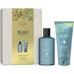 Scottish Fine Soaps body care gift set - seaweed 1×1set Scottish Fine Soaps body care gift set - seaweed 1×1set