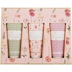Baylis and Harding Rose & Wolf Poppy Hand Cream Gift Set 1×3 pcs, gift set Baylis and Harding Rose & Wolf Poppy Hand Cream Gift Set 1×3 pcs, gift set