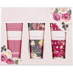 Baylis and Harding Rose & Wolf Poppy Hand Cream Gift Set 1×3 pcs, gift set Baylis and Harding Rose & Wolf Poppy Hand Cream Gift Set 1×3 pcs, gift set