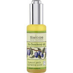 SALOOS Plum vegetable oil 1×20 ml oil