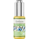 SALOOS Plum vegetable oil 1×20 ml oil