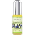 SALOOS Plum vegetable oil 1×20 ml oil
