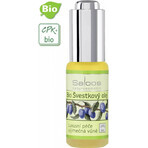 SALOOS Plum vegetable oil 1×20 ml oil SALOOS Plum vegetable oil 1×20 ml oil