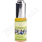 SALOOS Plum vegetable oil 1×20 ml oil