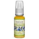 SALOOS Plum vegetable oil 1×20 ml oil SALOOS Plum vegetable oil 1×20 ml oil