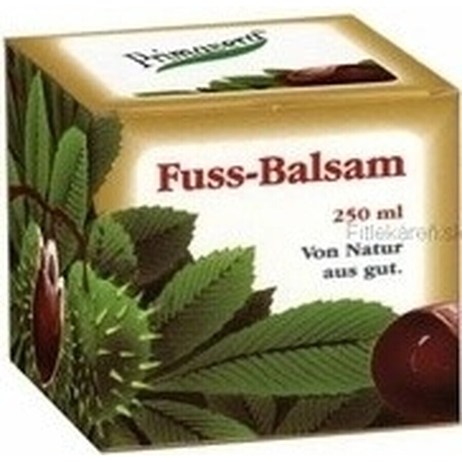 PRIMAVERA FUSS BALSAM 1×75 ml, baume pour les pieds PRIMAVERA FUSS BALSAM 1×75 ml, baume pour les pieds