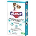 Ataxxa 500 mg/100 mg (honden van 4 kg tot 10 kg) 1×1 ml, oplossing voor honden Ataxxa 500 mg/100 mg (honden van 4 kg tot 10 kg) 1×1 ml, oplossing voor honden