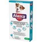 Ataxxa 500 mg/100 mg (honden van 4 kg tot 10 kg) 1×1 ml, oplossing voor honden Ataxxa 500 mg/100 mg (honden van 4 kg tot 10 kg) 1×1 ml, oplossing voor honden