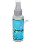 SALOOS Lemon Air Fragrant Spray 1×50 ml spray SALOOS Lemon Air Fragrant Spray 1×50 ml spray
