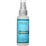 SALOOS Lemon Air Fragrant Spray 1×50 ml spray SALOOS Lemon Air Fragrant Spray 1×50 ml spray