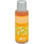 SALOOS St. John's Wort Oil Extract 1×50 ml extract SALOOS St. John's Wort Oil Extract 1×50 ml extract