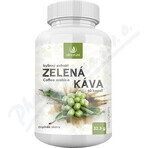 Allnature Green Coffee Herbal Extract 60cps 1×60cps Allnature Green Coffee Herbal Extract 60cps 1×60cps