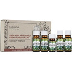 SALOOS The magic of aromatherapy set of 100% natural essential oils 1×1 pc oil