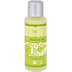 Saloos Macadamia vegetable oil 1×50 ml, skin oil Saloos Macadamia vegetable oil 1×50 ml, skin oil