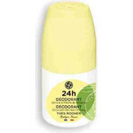 Yves Rocher Déodorant 24 h Menthe agrumes 1×50 ml Yves Rocher Déodorant 24 h Menthe agrumes 1×50 ml