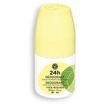 Yves Rocher Déodorant 24 h Menthe agrumes 1×50 ml Yves Rocher Déodorant 24 h Menthe agrumes 1×50 ml