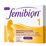 Femibion 1 Planning and the first weeks of pregnancy, 28 tbl 1×28 tbl, dietary supplement