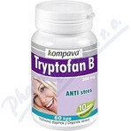 KOMPAVA TRYPTOFAN TRYPTOFAN B+ 500 mg 1×60 cps, food supplement KOMPAVA TRYPTOFAN TRYPTOFAN B+ 500 mg 1×60 cps, food supplement