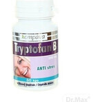 KOMPAVA TRYPTOFAN TRYPTOFAN B+ 500 mg 1×60 cps, food supplement KOMPAVA TRYPTOFAN TRYPTOFAN B+ 500 mg 1×60 cps, food supplement