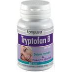 KOMPAVA TRYPTOFAN TRYPTOFAN B+ 500 mg 1×60 cps, food supplement KOMPAVA TRYPTOFAN TRYPTOFAN B+ 500 mg 1×60 cps, food supplement