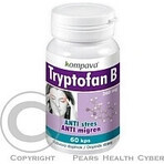 KOMPAVA TRYPTOFAN TRYPTOFAN B+ 500 mg 1×60 cps, food supplement KOMPAVA TRYPTOFAN TRYPTOFAN B+ 500 mg 1×60 cps, food supplement