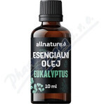 Allnature Eucalyptus essential oil 1×10 ml, essential oil Allnature Eucalyptus essential oil 1×10 ml, essential oil