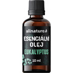 Allnature Eucalyptus essential oil 1×10 ml, essential oil Allnature Eucalyptus essential oil 1×10 ml, essential oil