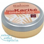 Saloos bioKarité acondicionador de uñas 1×19 ml, alto contenido en zinc, regenera, suaviza Saloos bioKarité acondicionador de uñas 1×19 ml, alto contenido en zinc, regenera, suaviza