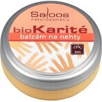 Saloos bioKarité nail conditioner 1×19 ml, high zinc content, regenerates, softens