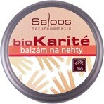 Saloos bioKarité acondicionador de uñas 1×19 ml, alto contenido en zinc, regenera, suaviza Saloos bioKarité acondicionador de uñas 1×19 ml, alto contenido en zinc, regenera, suaviza