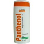 Dr. Müller PANTHENOL SHAMPOO Per capelli grassi 1×250 ml, shampoo Dr. Müller PANTHENOL SHAMPOO Per capelli grassi 1×250 ml, shampoo