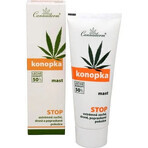 Cannaderm HEMP Pomada 1×75 g, pomada de cáñamo Cannaderm HEMP Pomada 1×75 g, pomada de cáñamo