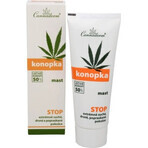 Cannaderm HEMP Pomada 1×75 g, pomada de cáñamo Cannaderm HEMP Pomada 1×75 g, pomada de cáñamo