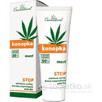 Cannaderm HEMP Pomada 1×75 g, pomada de cáñamo Cannaderm HEMP Pomada 1×75 g, pomada de cáñamo