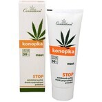 Cannaderm HEMP Pomada 1×75 g, pomada de cáñamo Cannaderm HEMP Pomada 1×75 g, pomada de cáñamo