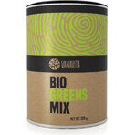 GYMBEAM VANAVITA VANAVITA BIO GREENS MIX 1×300g, green superfood mix