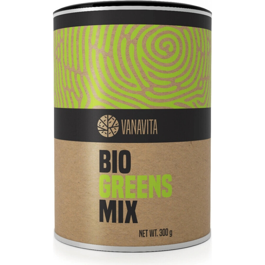 GYMBEAM VANAVITA VANAVITA BIO GREENS MIX 1×300g, green superfood mix