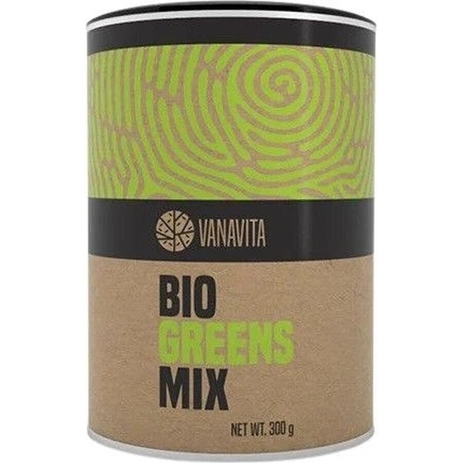 GYMBEAM VANAVITA VANAVITA BIO GREENS MIX 1×300g, green superfood mix