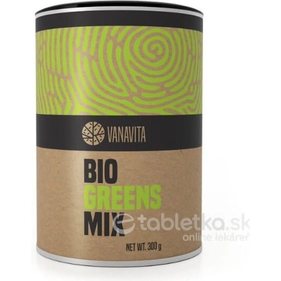 GYMBEAM VANAVITA VANAVITA BIO GREENS MIX 1×300g, green superfood mix