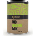 GYMBEAM VANAVITA VANAVITA BIO GREENS MIX 1×300g, green superfood mix