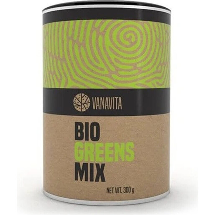 GYMBEAM VANAVITA VANAVITA BIO GREENS MIX 1×300g, green superfood mix